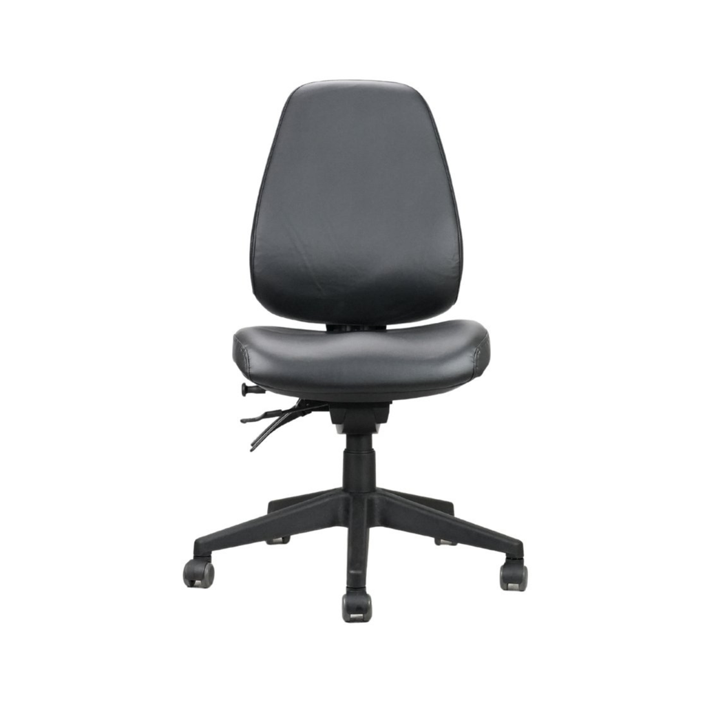 Endeavour Pro Ergo Chair