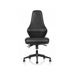 Ergora Medium Back Posture Chair