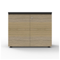 Deluxe Infinity Swing Door Cupboard