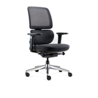Orca Chair